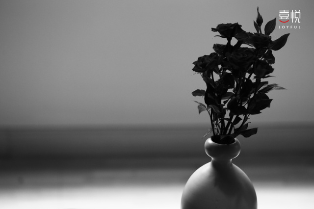 喜悦汇茶言｜沉时坦然浮时淡然