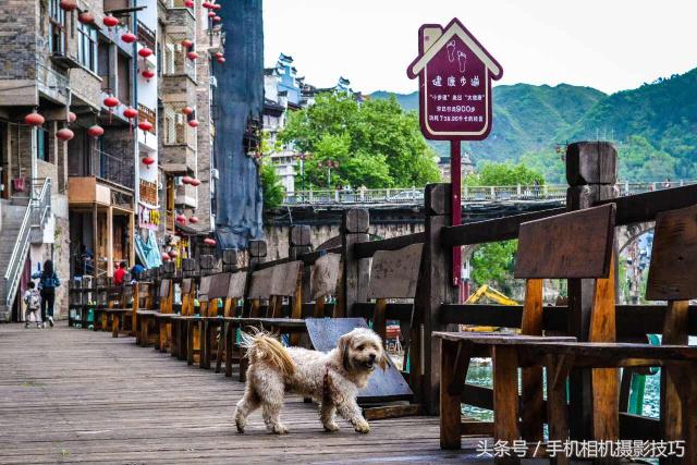 为什么你拍出来的照片很不好看,为什么拍出来的照片反过来就难看