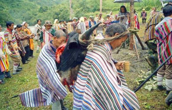 云南25个少数民族主要节日（类比汉族春节）一览表