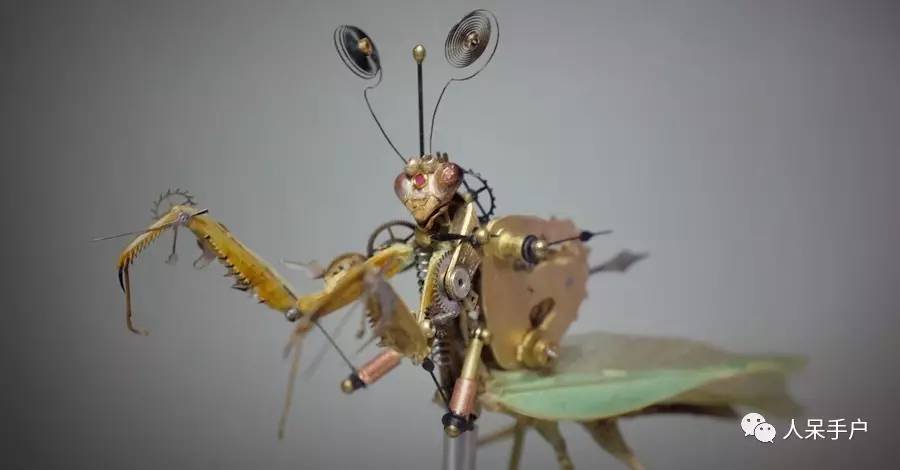 100人民币手工蝴蝶,昆虫大合集手工