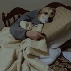 孤单寂寞冷，「alone，lone」傻傻分不清！