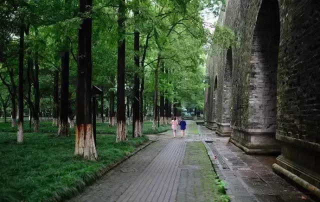 不花一分钱游遍中国,南京六个小众景点