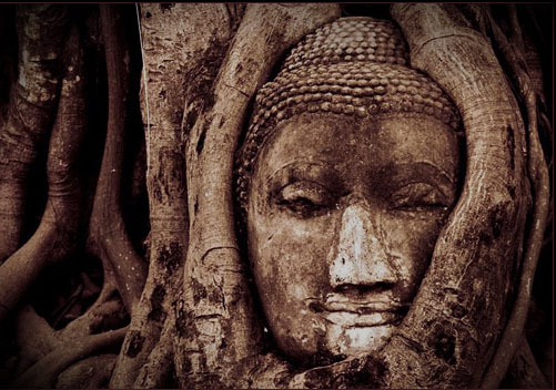 做旧大金刚和老金刚鉴别,金刚菩提做旧用什么材料