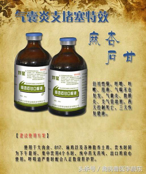 鸡气囊炎的症状和表现,鸡喉气囊炎最佳治疗