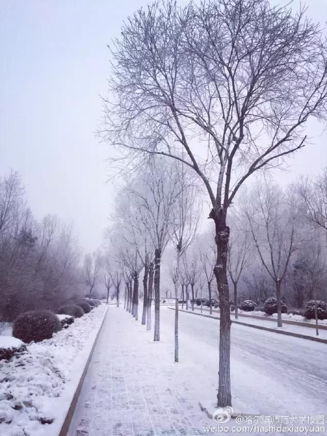 黑龙江最好的师范大学排名,黑龙江省最牛的文科学校