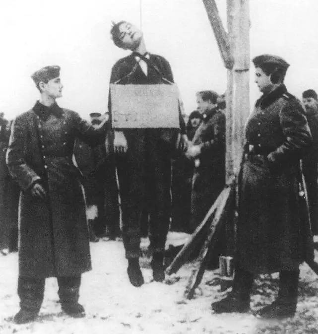 不受降,杀无赦!一个18岁少女的临死呼唤让斯大林动怒