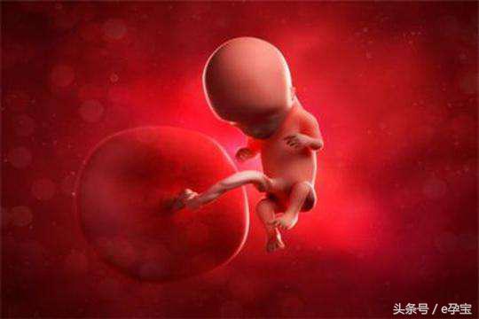 怀孕停胎流产有什么状况,怀孕停胎最初会有哪些不适