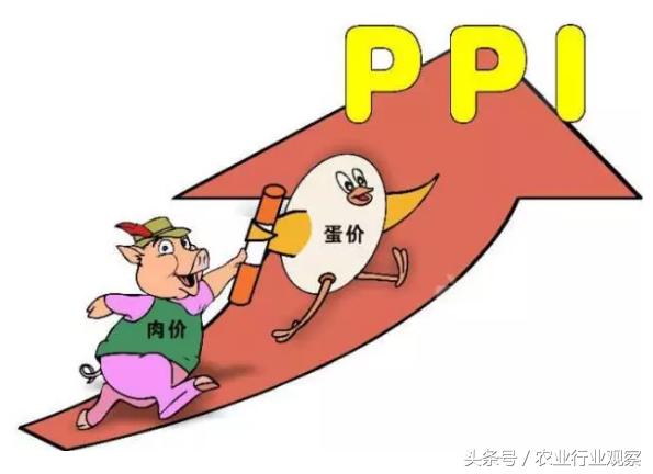 鸡蛋养殖户赔钱,鸡蛋养殖亏本吗