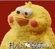 樱花草sweety组合现状,樱花草原唱sweety成员刘品言