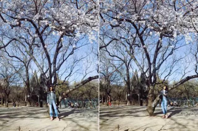 刘雯同款小个子增高松糕小白鞋,moschino刘雯杨幂