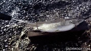 这就是传说中的脱一层皮，隔着屏幕都感觉疼