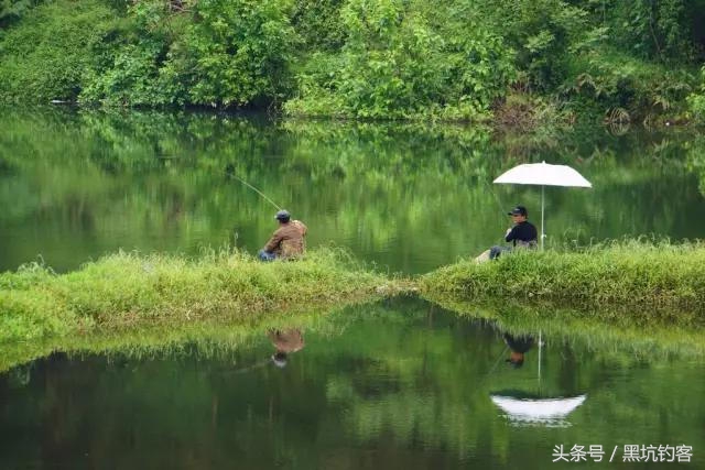 夏天垂钓鱼种什么最好养,夏季野钓鱼的变化有哪些