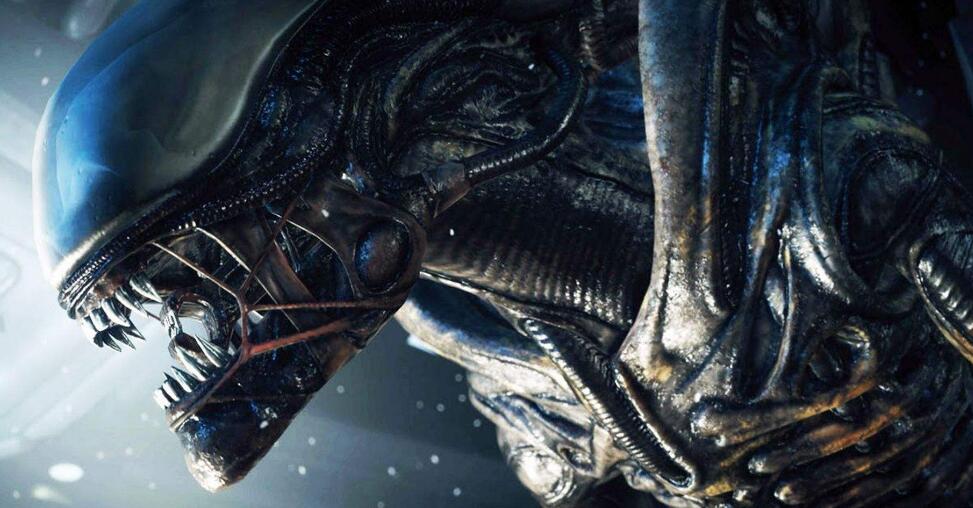 电影异形里面的所有异形长什么样,异形不同的形态
