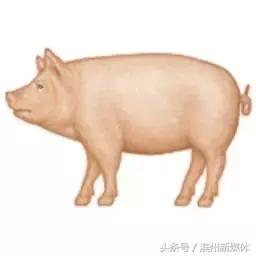 小资小味饭店,小资小味视频