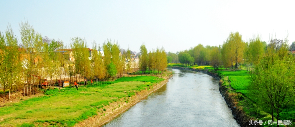 随笔悠悠寸草心,散文悠悠母亲河