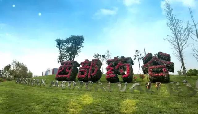 金融欠发达、人才缺失：一个西部园区如何4年内落地42家企业？