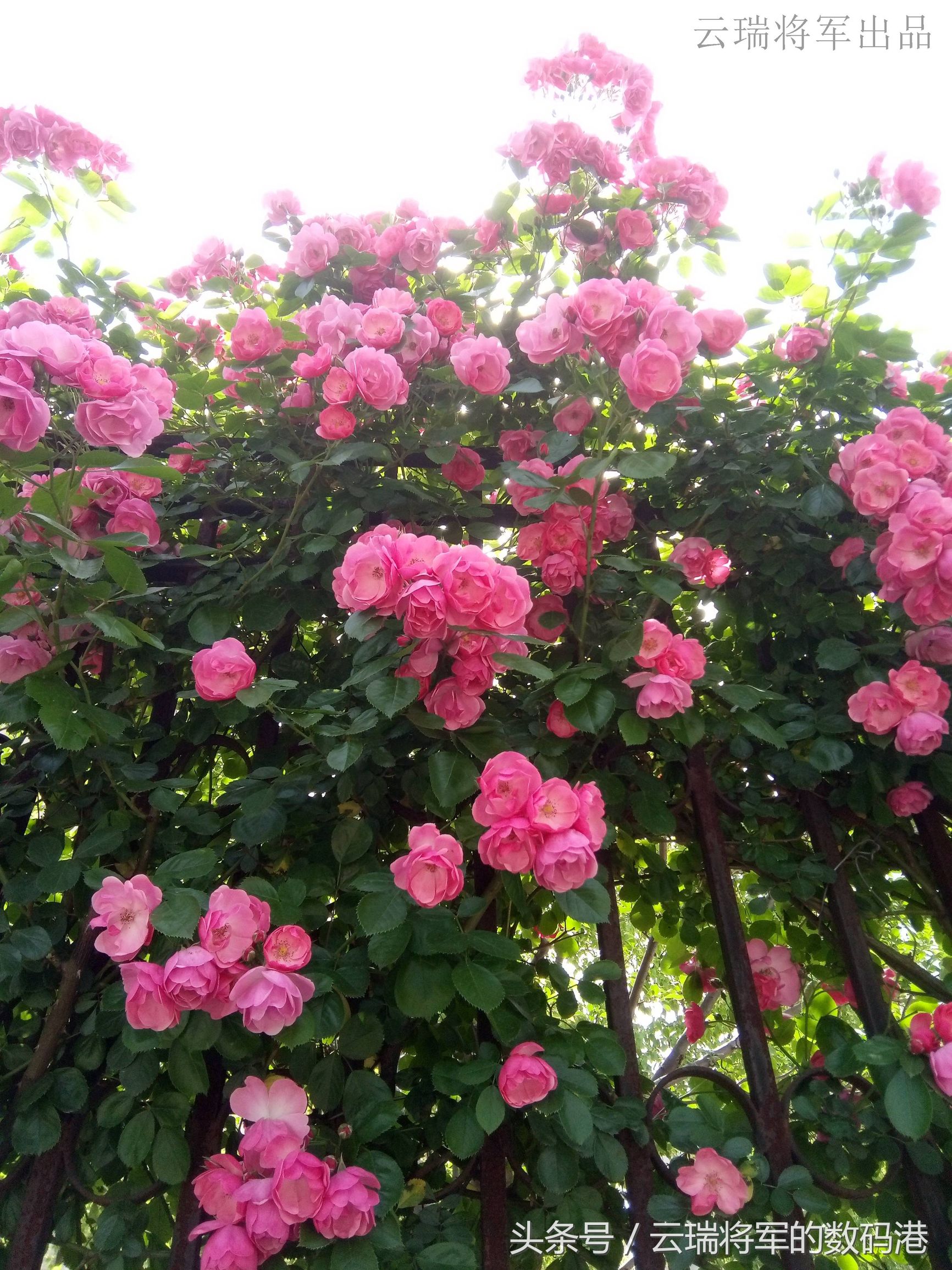 感受新视界——裸眼3D手机ivviK5测评「原创」