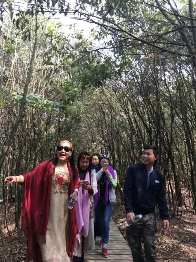 赞美石柱的古诗,诗词记忆方法