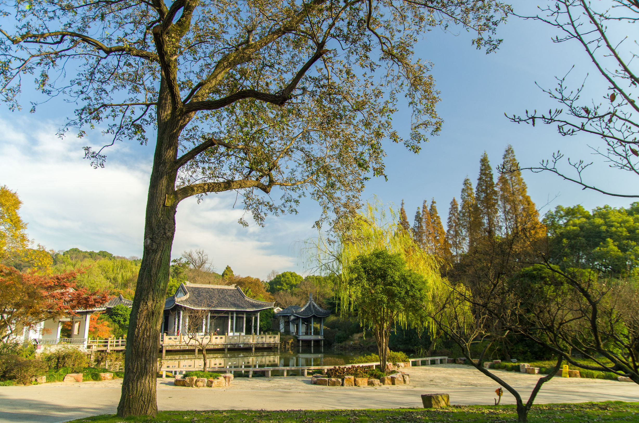 摄影小白推荐相机300左右,拍照好的长焦镜头推荐