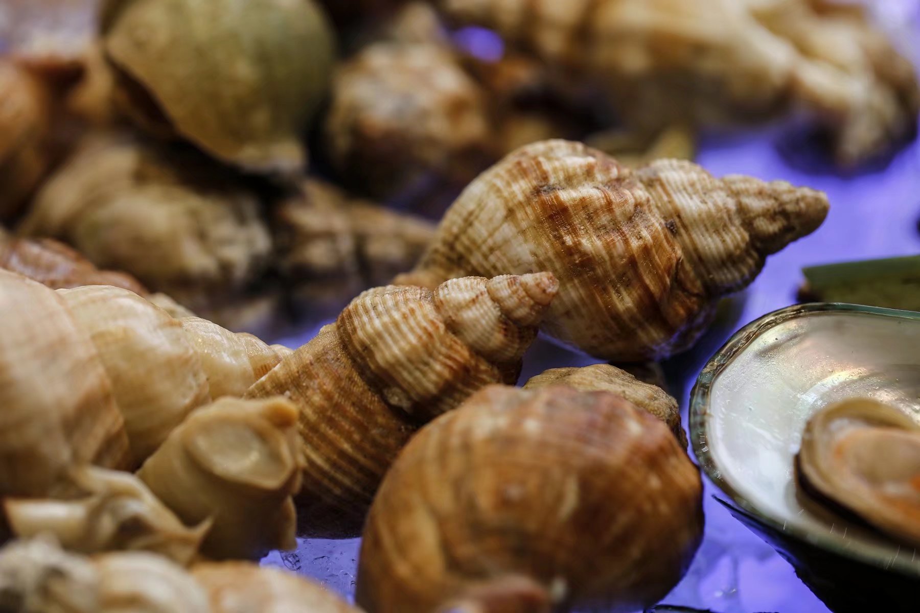 这样的旅游方式合适吗,分享一个周末休闲度假的好去处