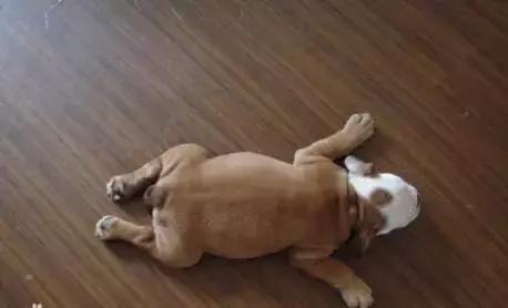 了解这些让胃癌离你远一点,了解这些可以让你少走弯路