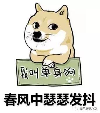 小猎豹郑恺感情采访视频,郑恺为什么舍弃富二代程晓玥