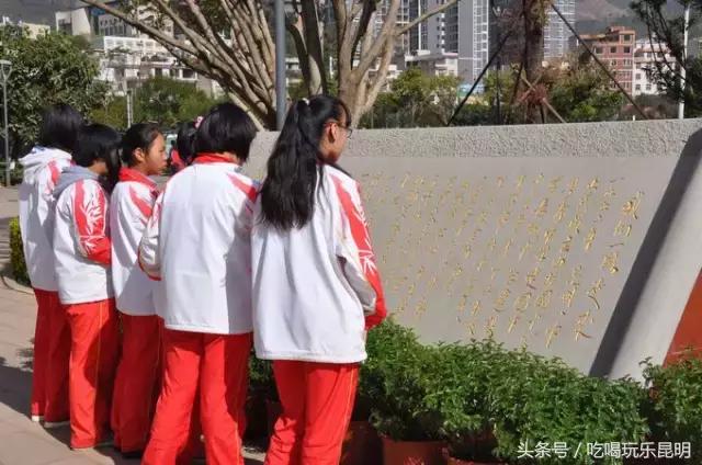 昆八中介绍,再见八中