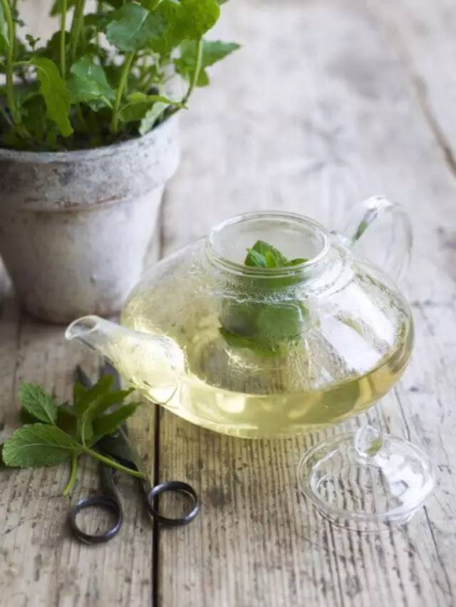 五种最有益健康的茶,好喝又对健康有益的茶