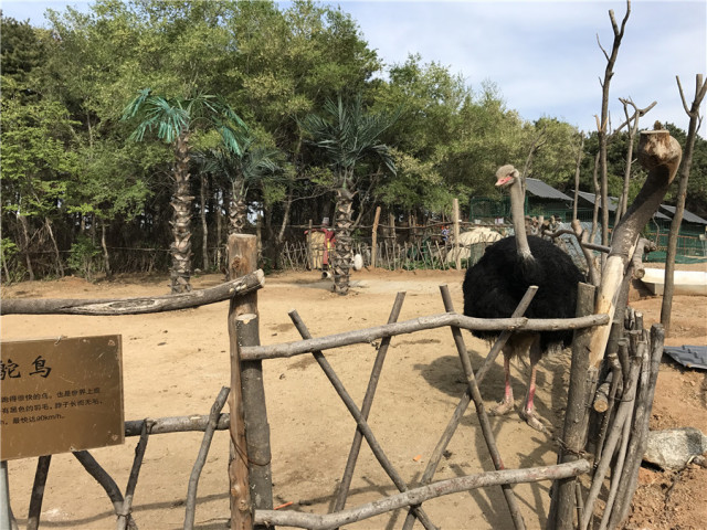 神秘谷步道周边游,神秘谷好玩的地方