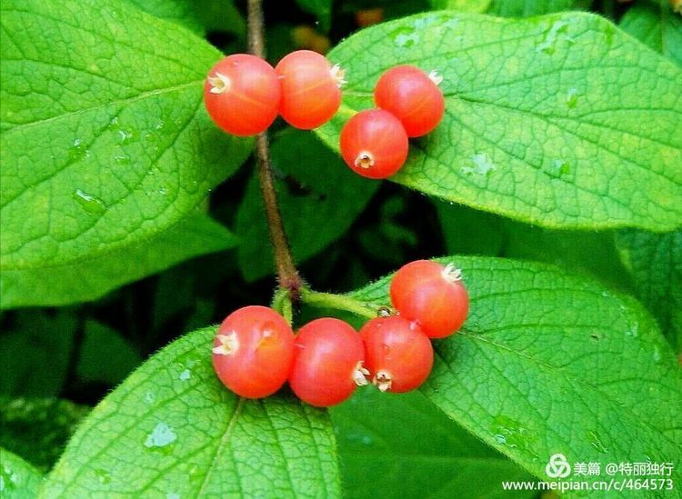 走过四季夏天最美,走过春夏美丽的秋冬