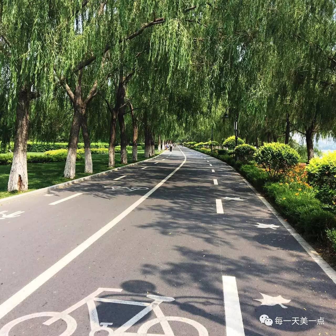 沈阳浑河边骑行夜景,浑河漫步道自行车