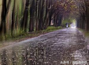 雨季湿气重怎么祛湿,梅雨季身体祛湿的方法