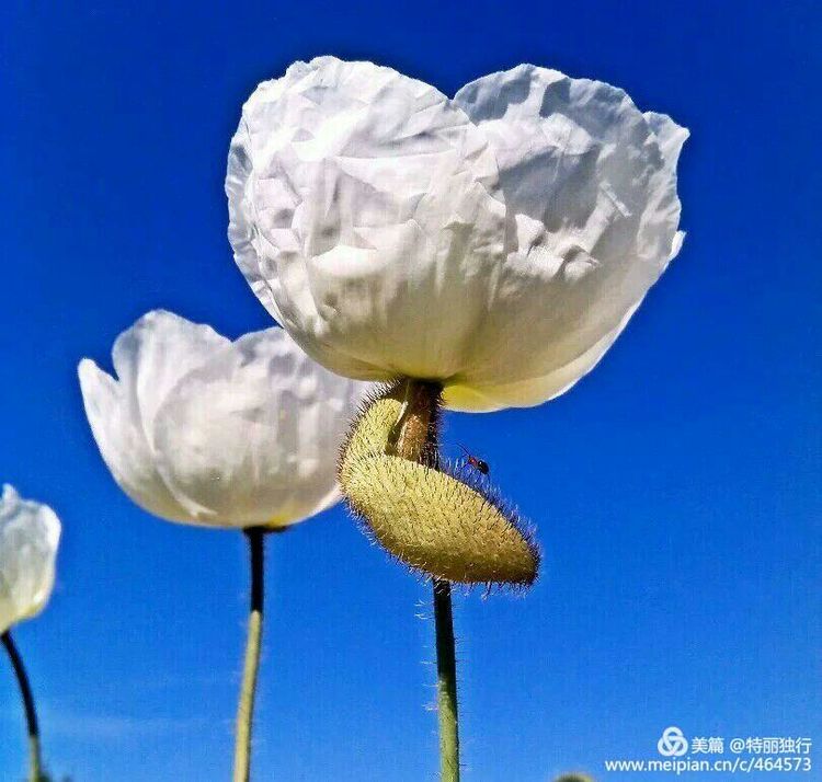 走过四季夏天最美,走过春夏美丽的秋冬