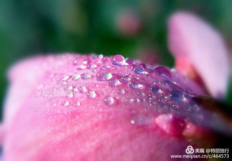 走过四季夏天最美,走过春夏美丽的秋冬