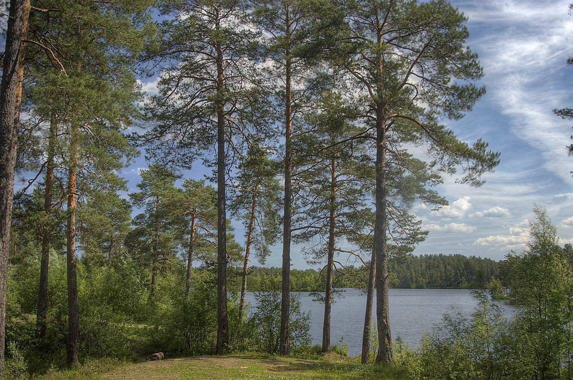 松木为什么是环保家具,松木全实木家具环保么