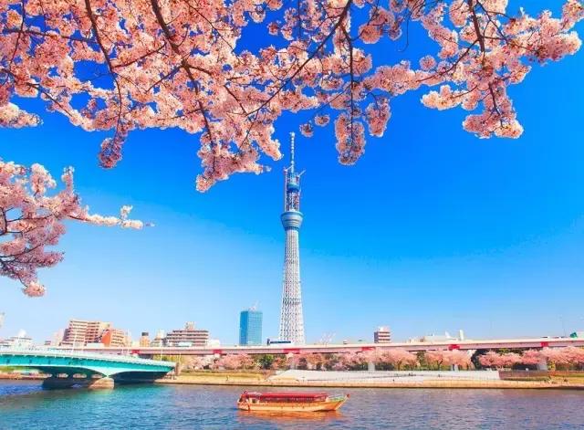 到日本必买的美妆单品,必买的日本20件好物