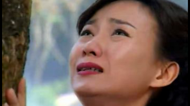 僵尸道长林正英被诬陷,林正英僵尸道长图片