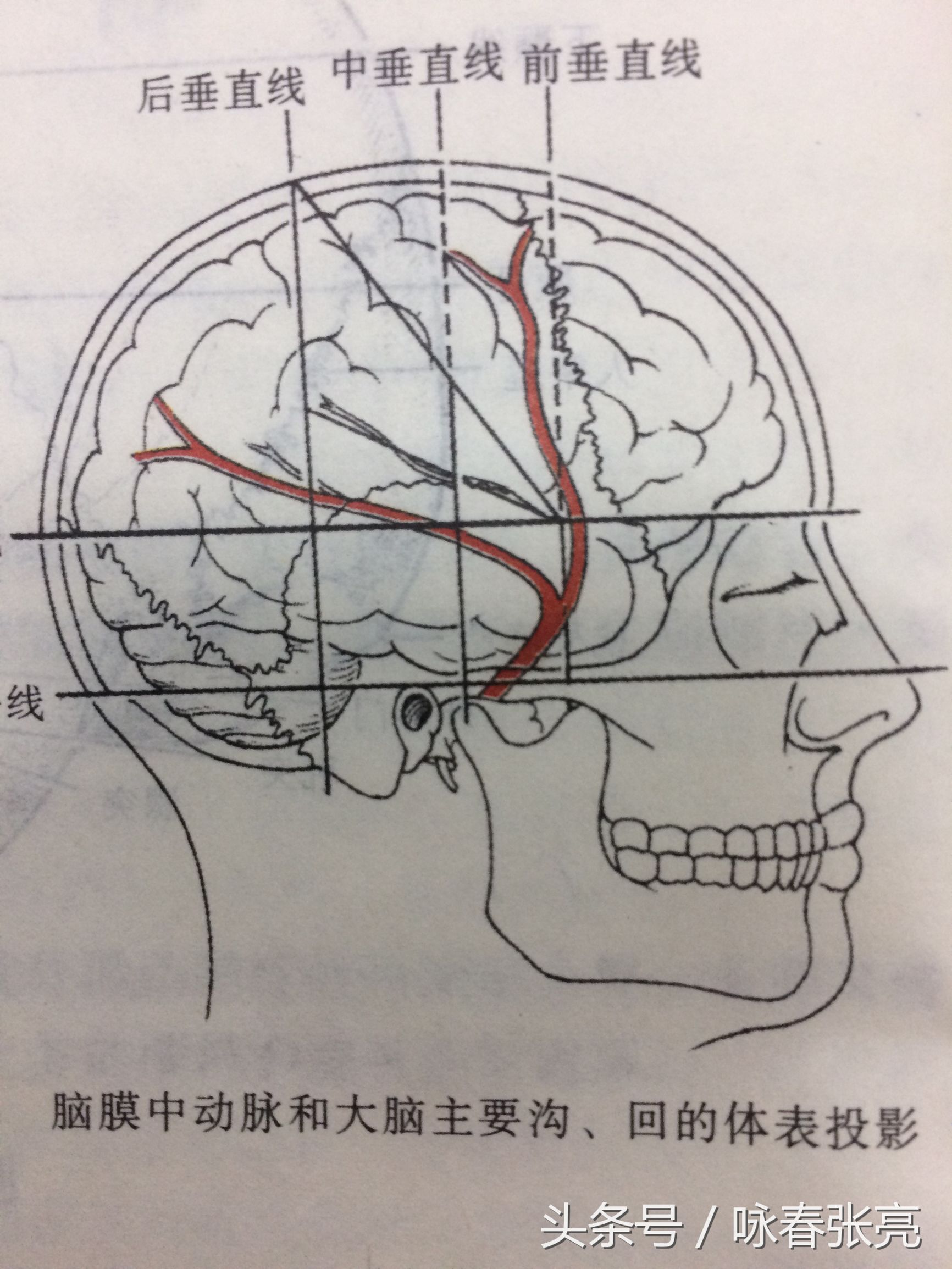 谁说咏春打不过泰拳,谁说传统武术不行你戳我眼睛试试