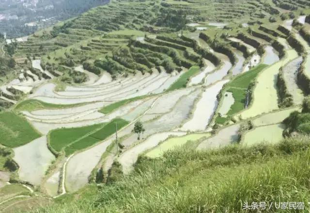 给我一方厨房，还你一桌菜肴