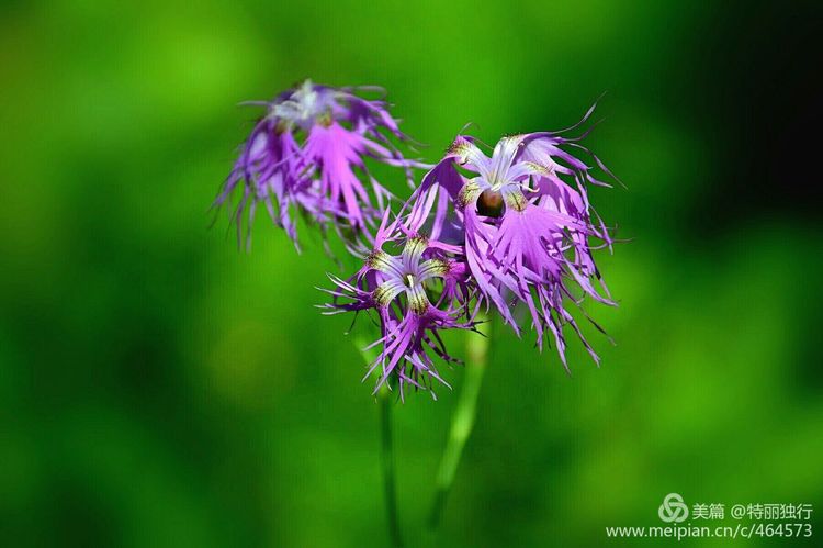 走过四季夏天最美,走过春夏美丽的秋冬