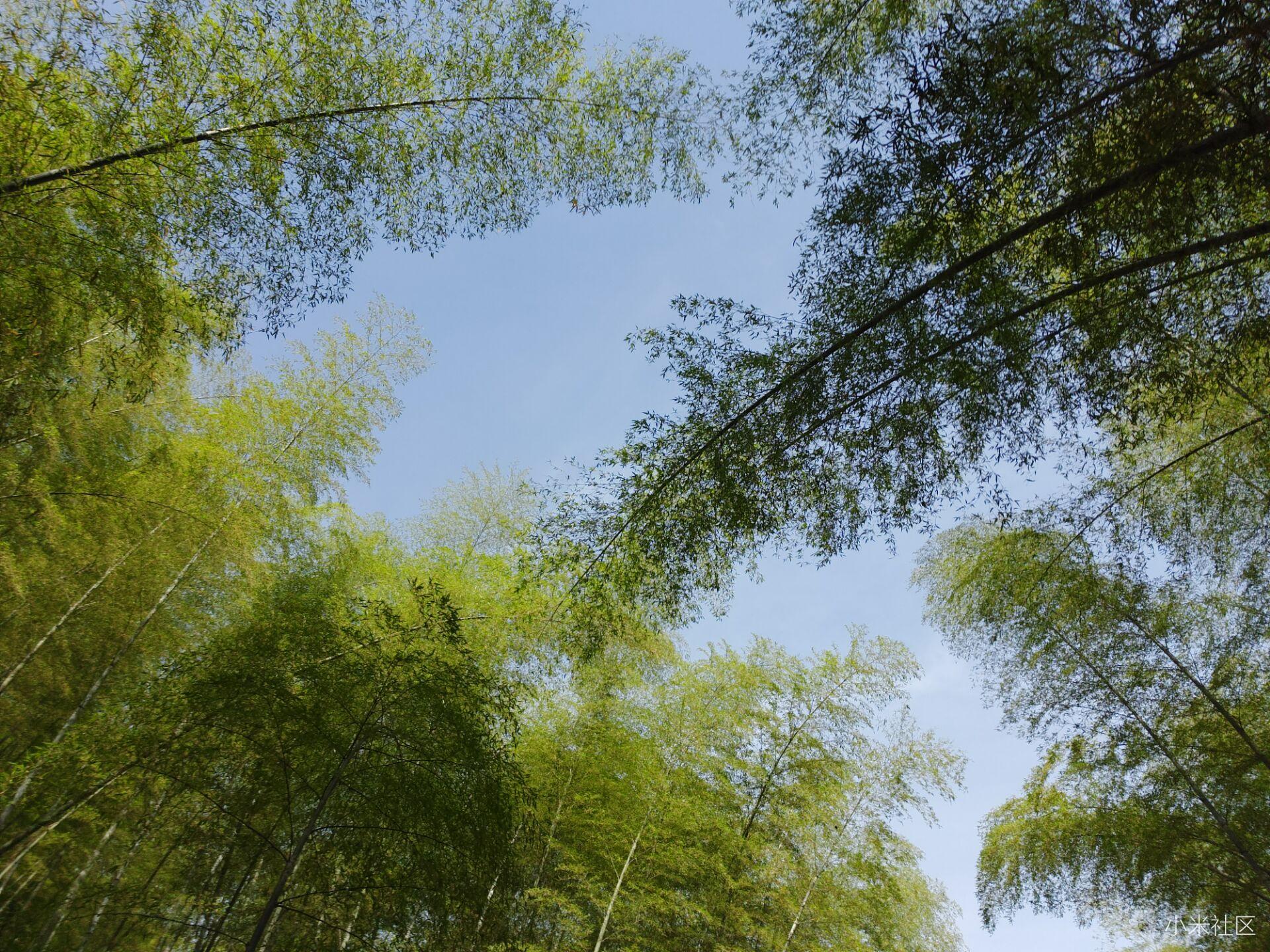 小米5c性能相当于哪部手机,小米5c当年的性能