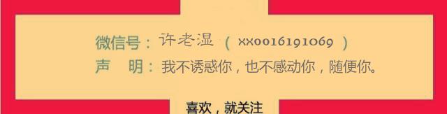 王珞丹在圈中的地位,王珞丹退出娱乐圈了吗