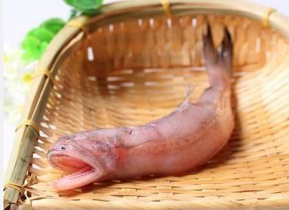 哈尔滨吃货，这8种你爱吃的海鲜全面禁售，活的冰鲜的统统不能卖