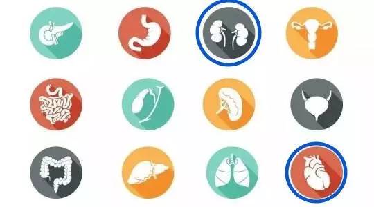 冬病夏治科学吗,中医虚寒症有哪些