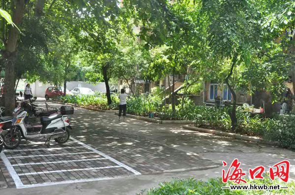 海口市三无小区整治,海口三无小区