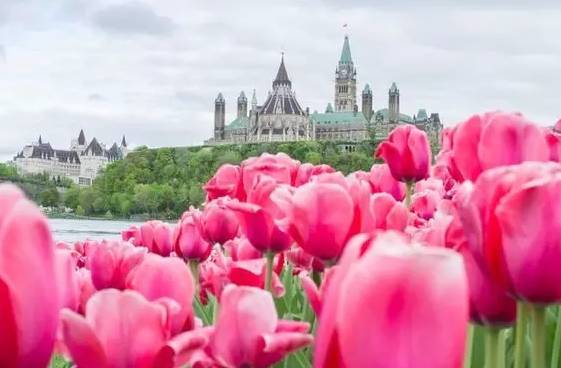 多伦多周末有什么好玩的地方,多伦多八月好去处