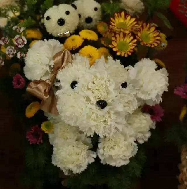 不买花也可以聊人生！泉州有家花店，专治失恋与主妇间歇躁郁症