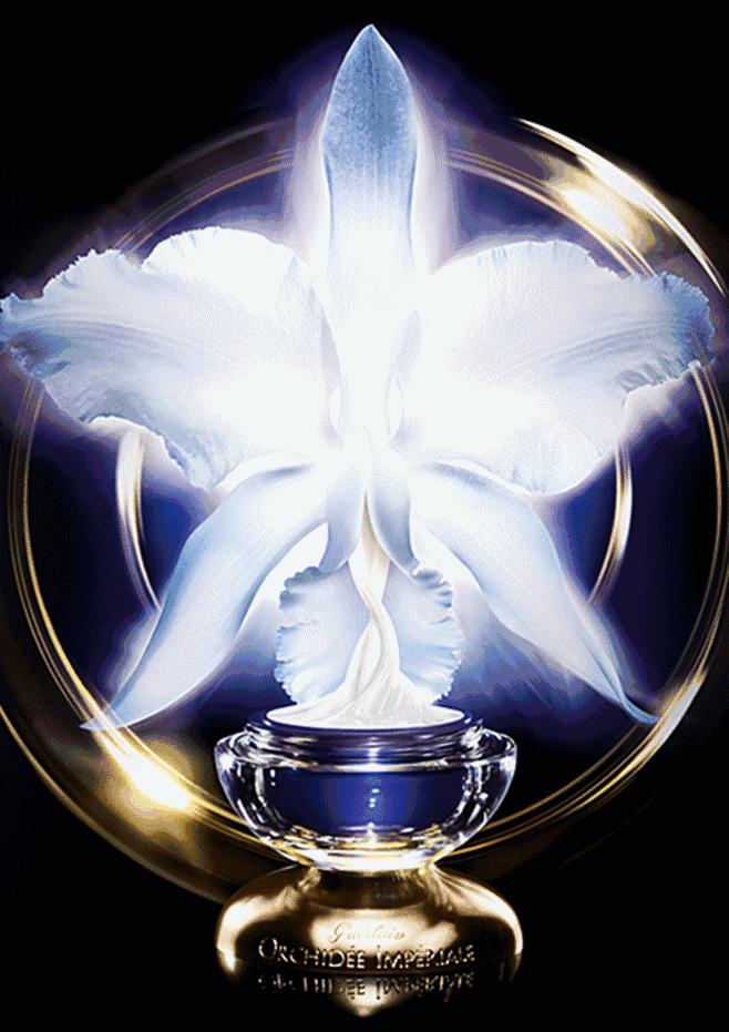 揭秘｜爱它，高贵冷艳又神秘（下）-保湿抗老精华篇