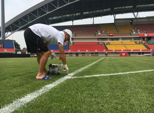 熊猫杯最新消息,熊猫杯现在的状况