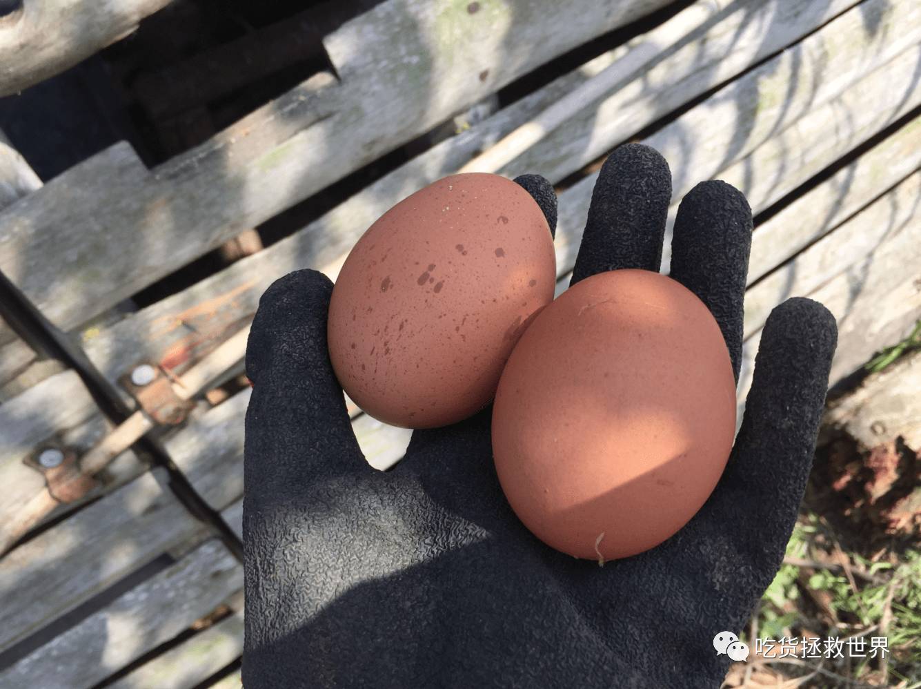 鎴戝湪妯辫姳灏忛晣,鍦ㄦū鑺遍鑸炵殑瀛ｈ妭